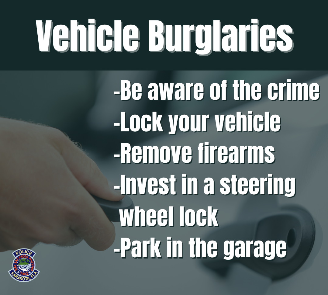 Kia burglaries