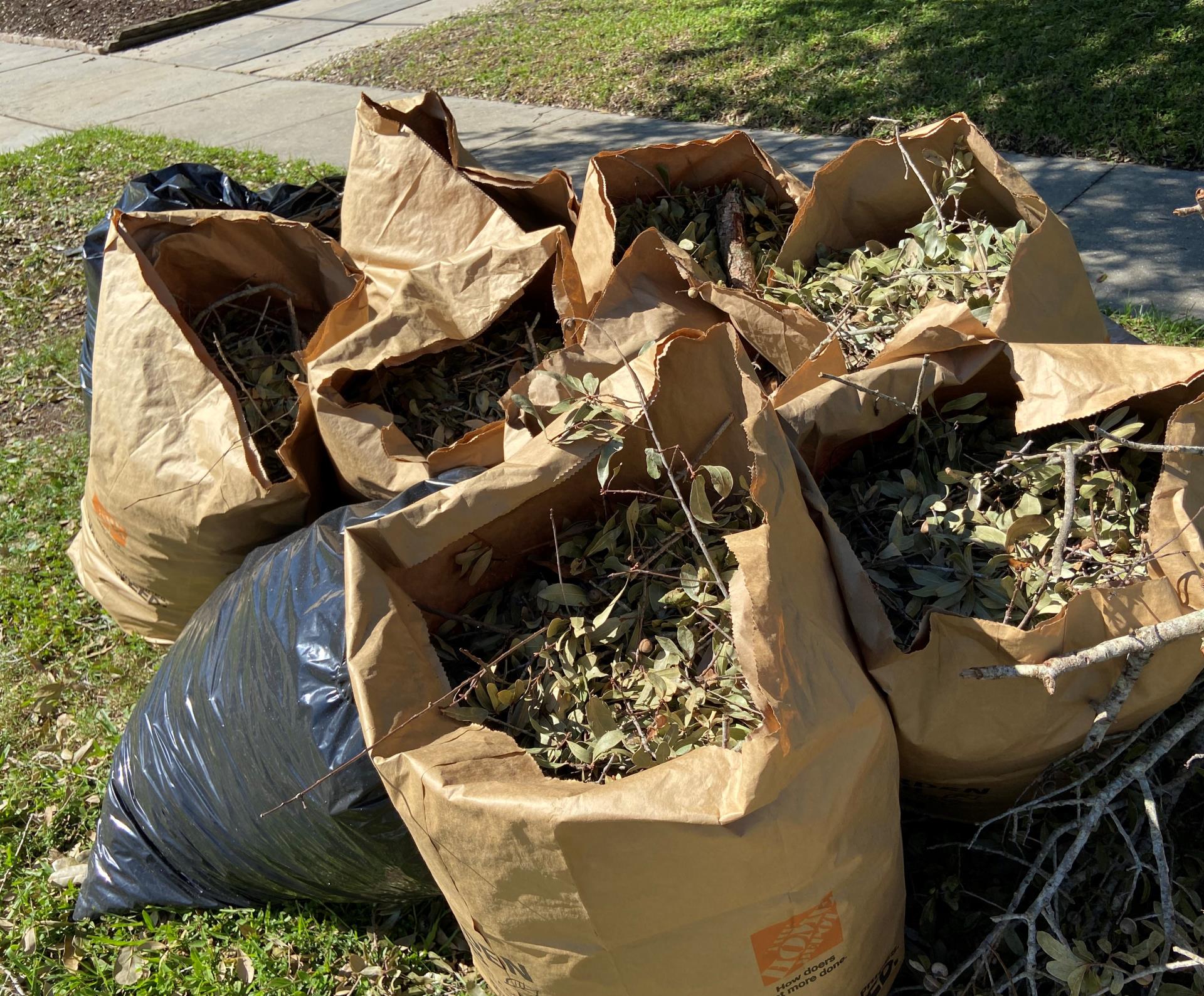 Yard waste bags - paper and plastic