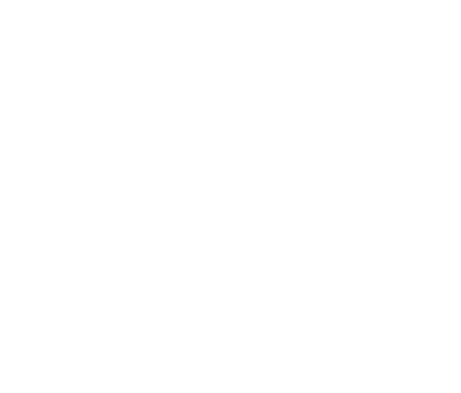 Swimmer Logo