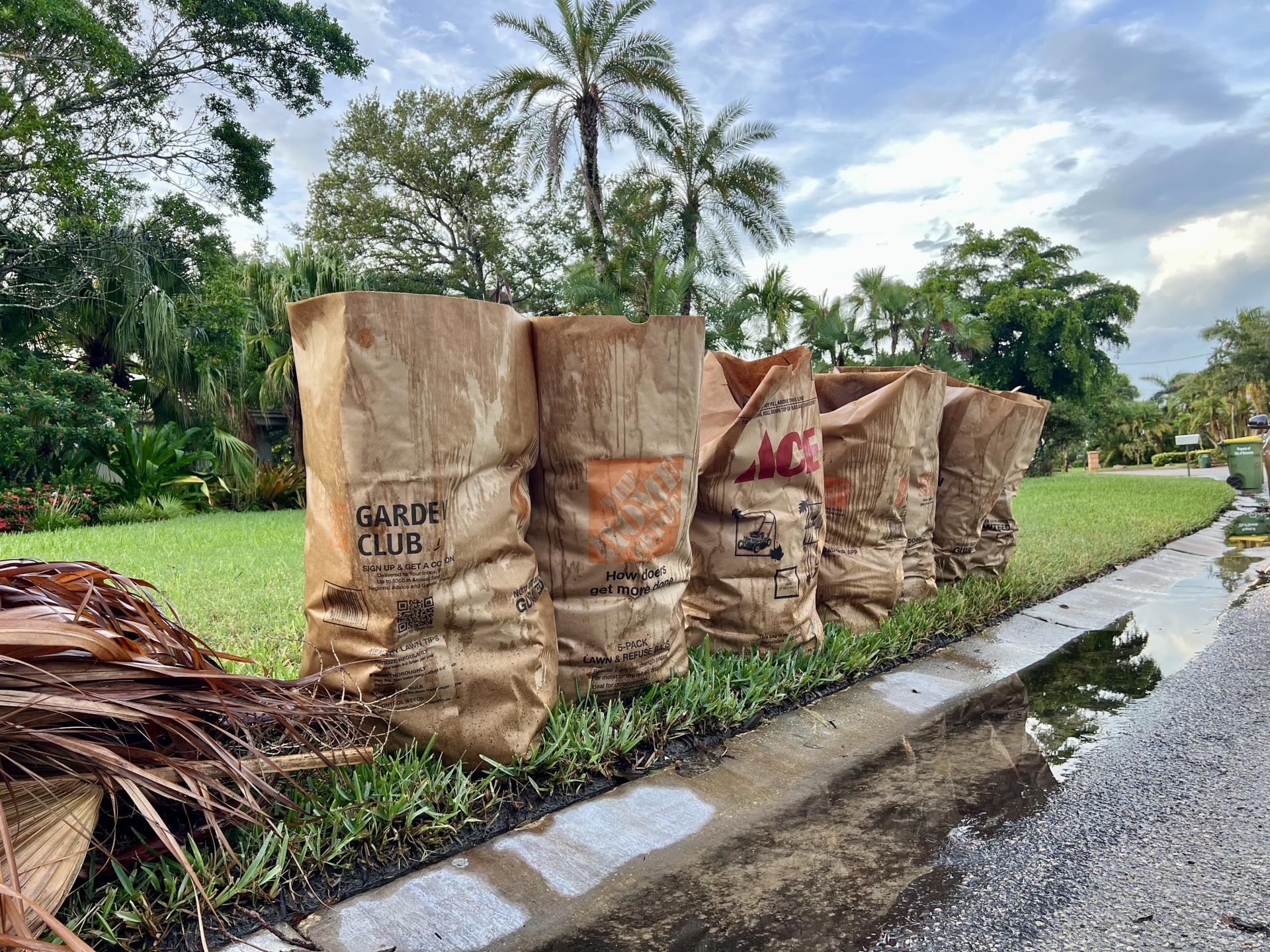 Bagged yard waste