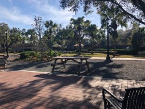 Fredd Atkins Park Remodel