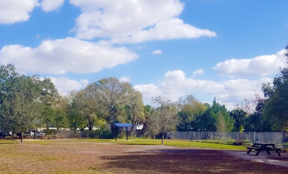 Outdoor dog park area