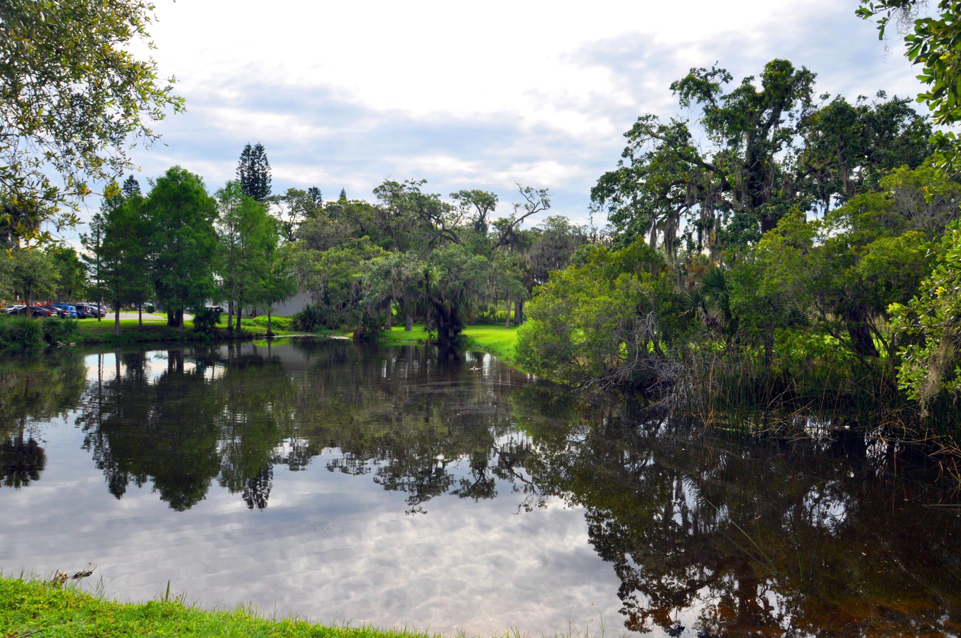 AB Smith Park with pond. duck and tree surround a beautuful pond.