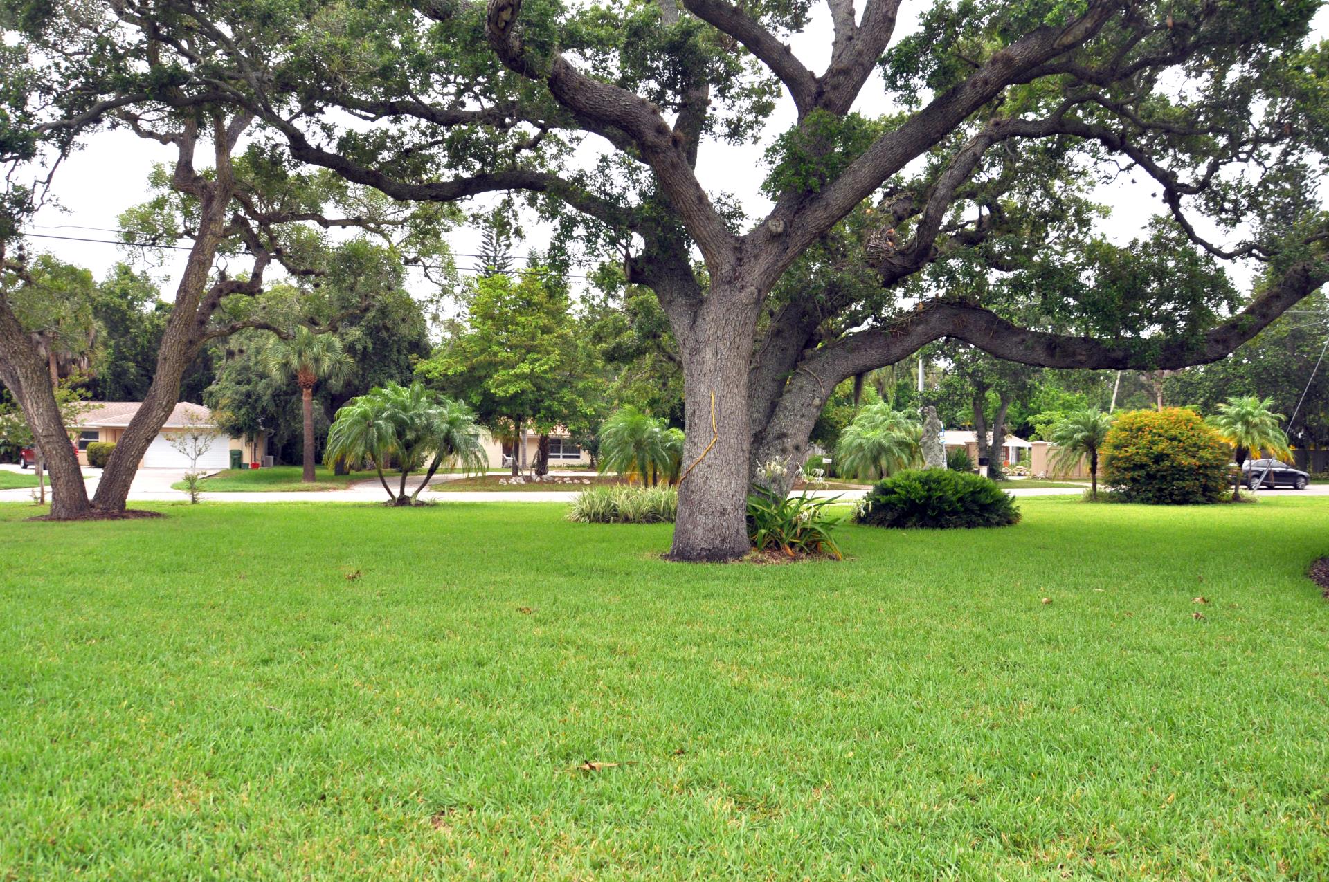 San Remo Park open field