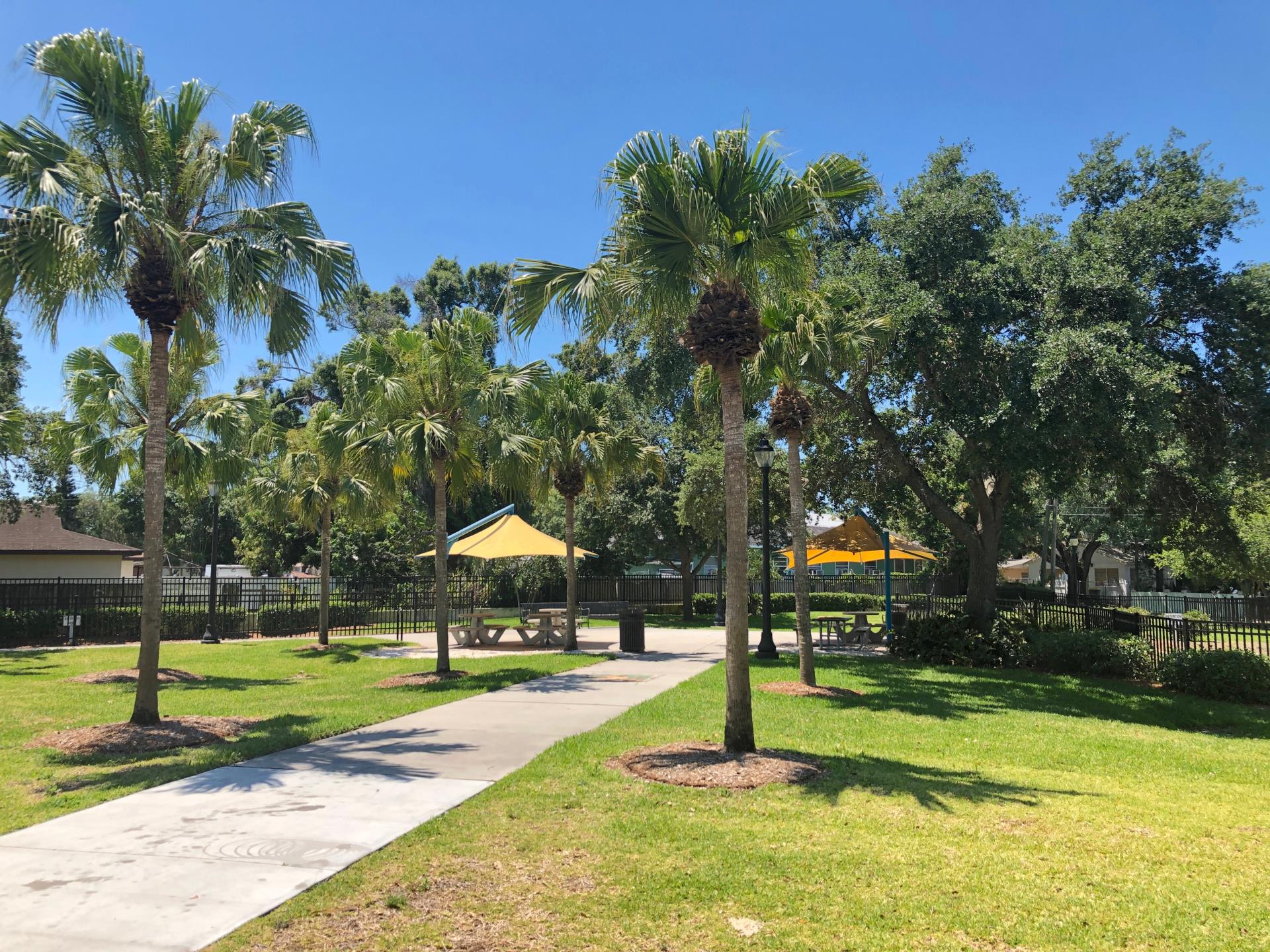 Park trees and picnic tables