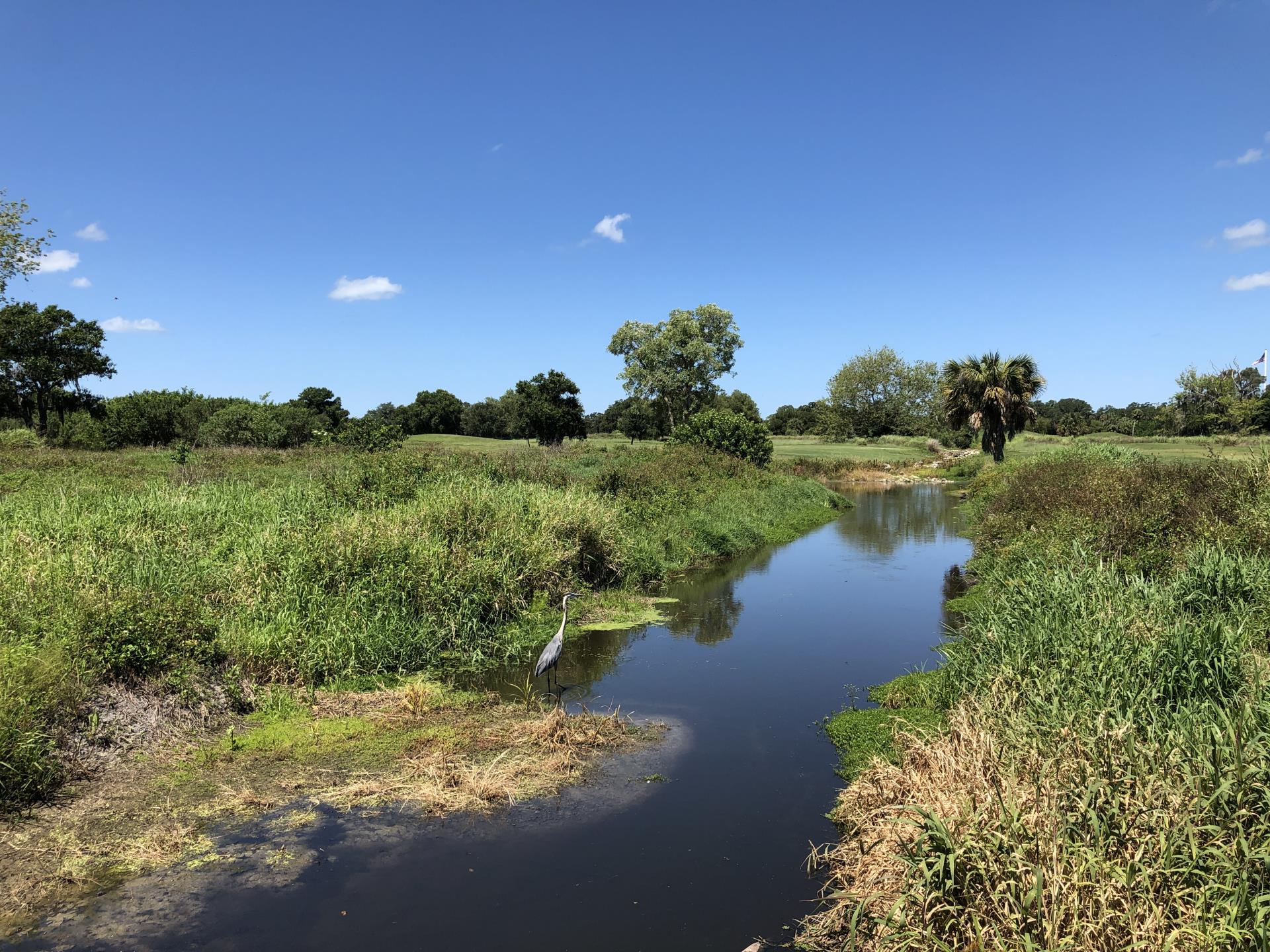 Bobby Jones Golf Club is also an environmental asset.