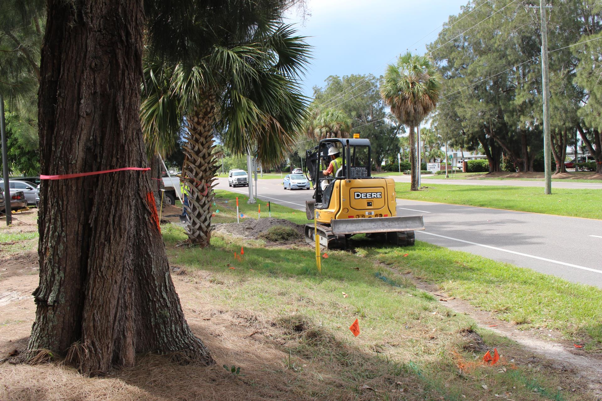 Coon Key MURT construction and tree removal