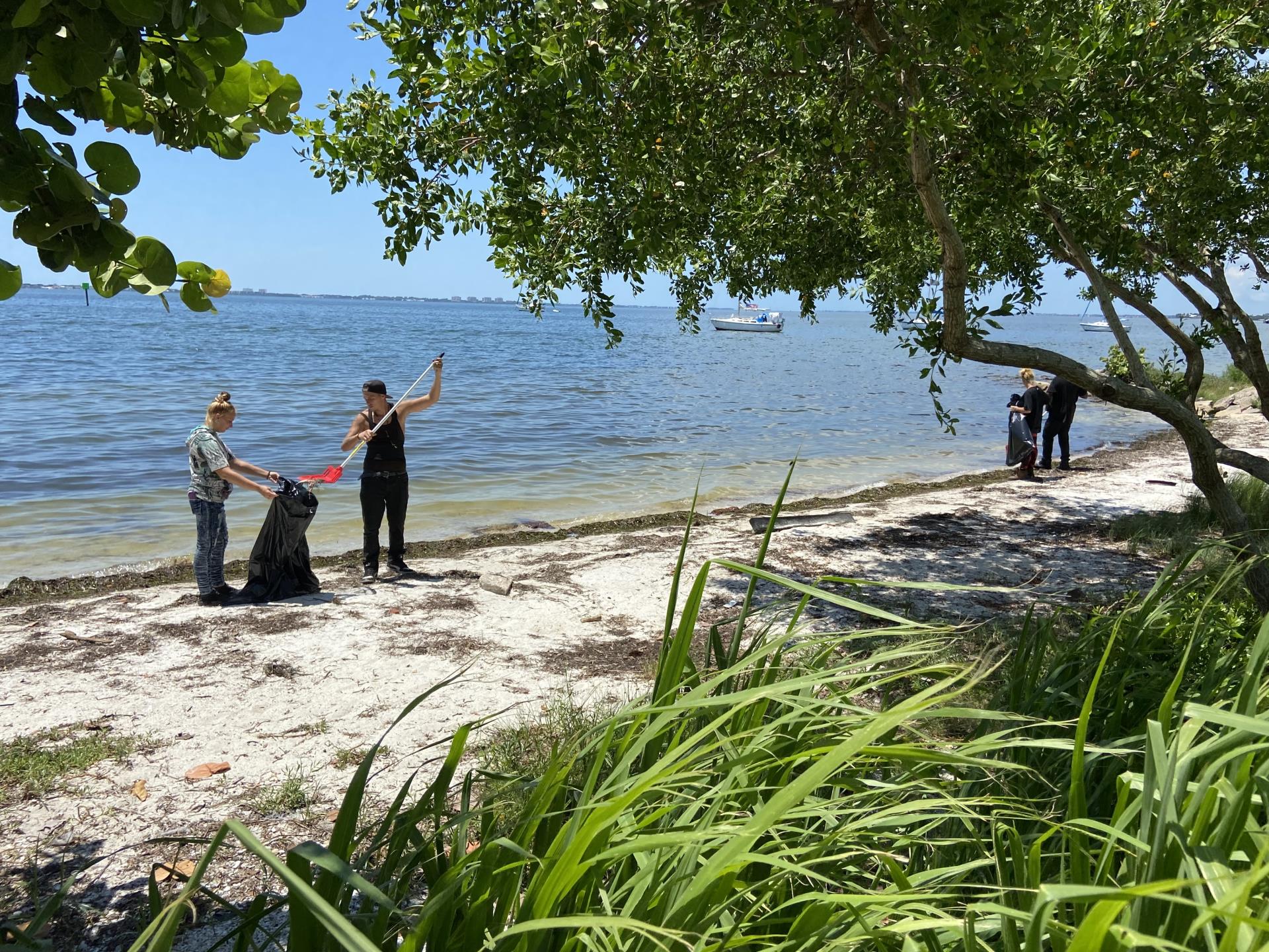 Red tide cleanup