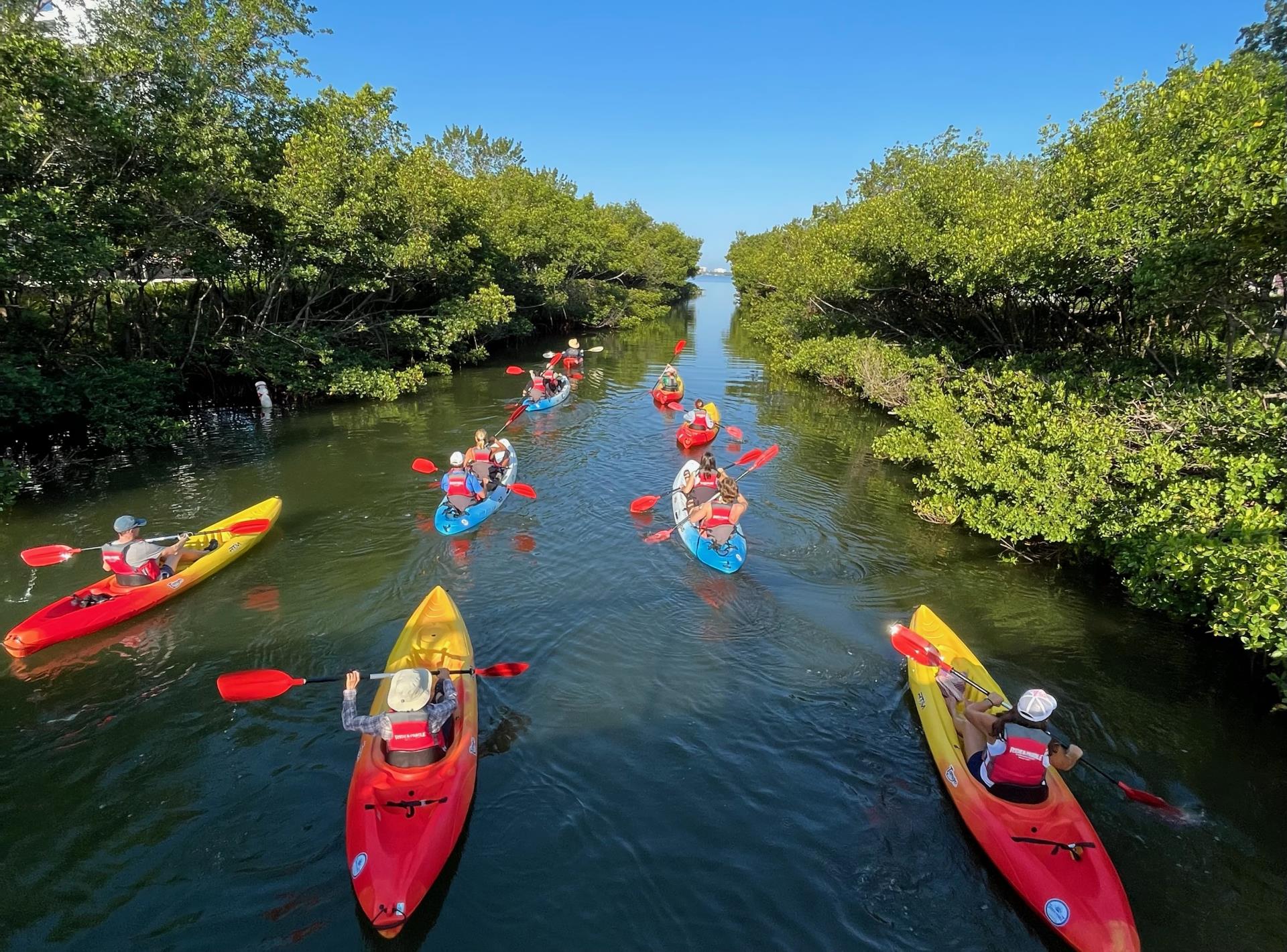 The Bay, kayaking